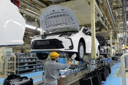 2019年度开发区最佳招商项目揭晓，二手汽车销售明星项目闪耀榜单